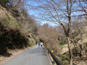 吉野中千本 奈良交通 吉野中千本公園バス停付近