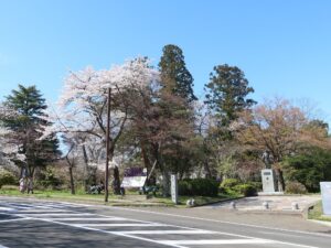 青葉山公園 仙台城跡 大手門付近