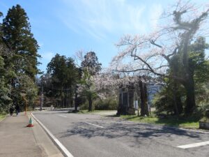 青葉山公園 仙台城跡 大手門