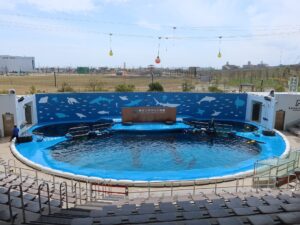 仙台うみの杜水族館 うみの杜スタジオ